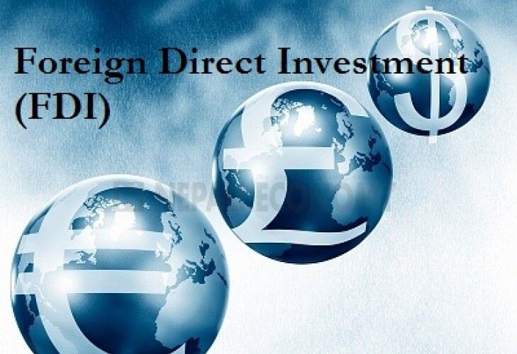 Total foreign investment reaches Rs 113.18 billion