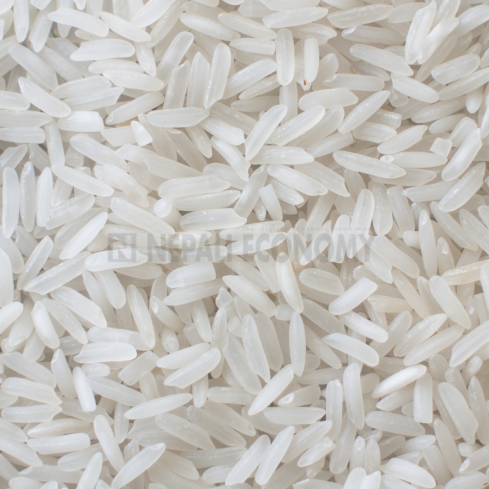 Consumer right activists want downward review of import tariff on rice